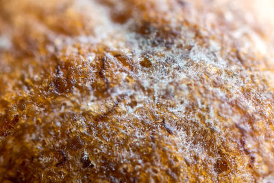 Full frame shot of bread