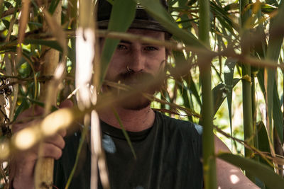 Portrait of young man standing amidst bamboo 