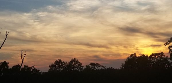 Silhouette trees against sky during sunset