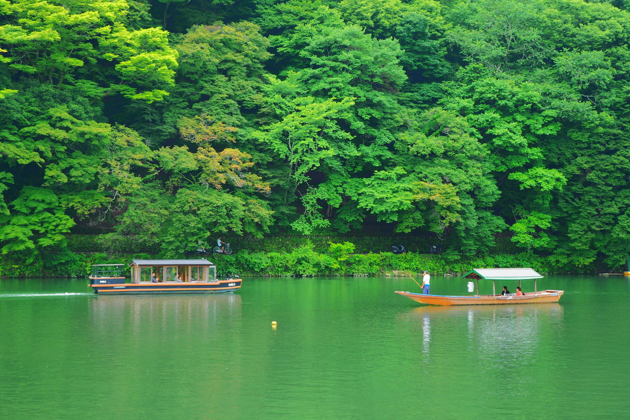 BOAT MOORED IN LAKE AT FOREST