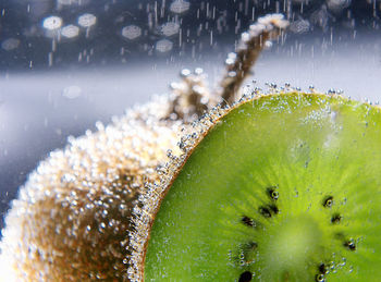 Close-up of wet kiwi