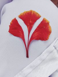 Close up of red leaf