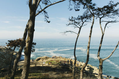 A scenic outlook near the ocean in la jolla, california