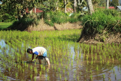 Man working in farm against trees