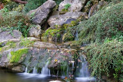 River flowing through rocks in forest