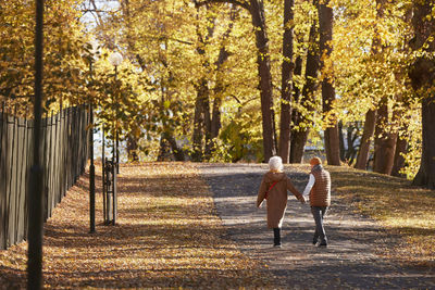 Senior couple walking in autumn park