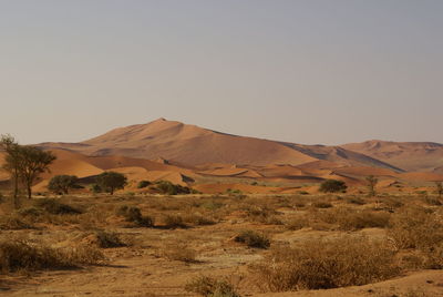 Scenic view of desert against clear sky
