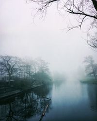 Reflection of trees in lake