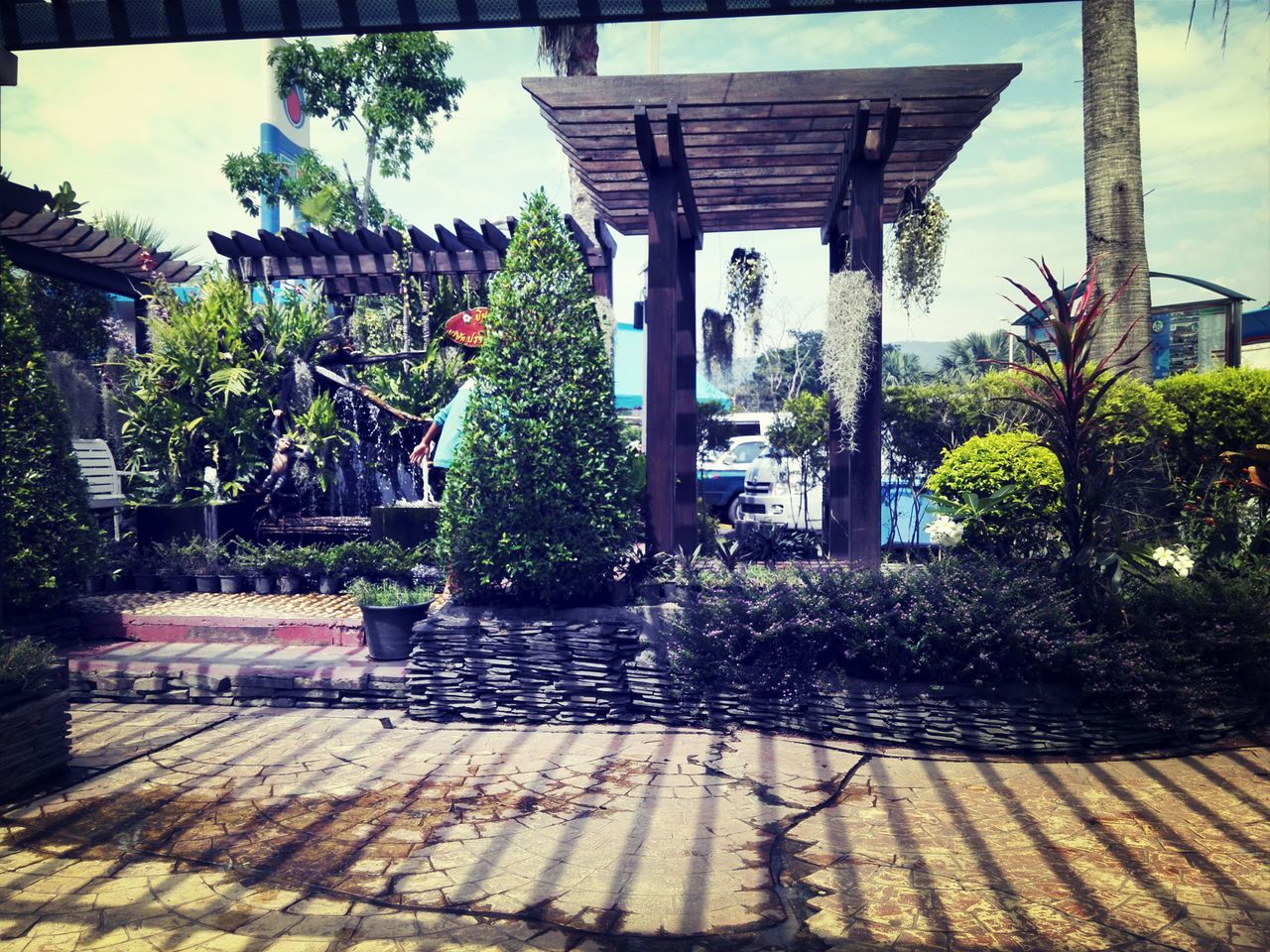 building exterior, architecture, built structure, tree, growth, plant, potted plant, street, city, sunlight, sidewalk, sky, house, footpath, day, outdoors, shadow, no people, residential structure, cobblestone