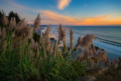 Scenic view of sea against sky during sunset