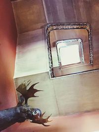 Low section of shoe on tiled floor