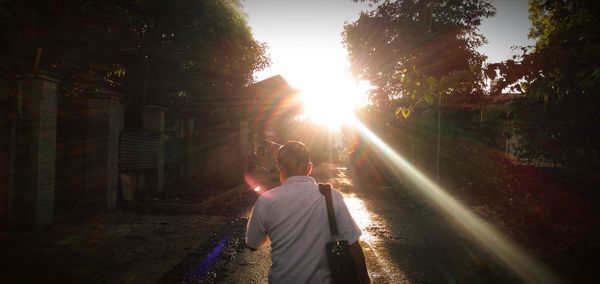 Rear view of people standing by trees against bright sun