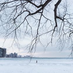 Scenic view of man walking in snow