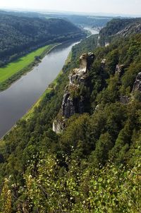 High angle view of trees on landscape