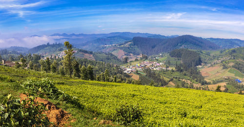 Scenic view of agricultural field against sky