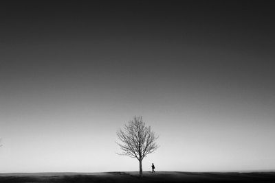 Bare trees on landscape against clear sky