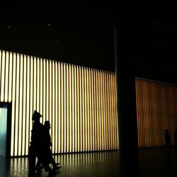 silhouette