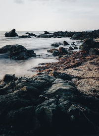 Rocky coastline on a lowtide