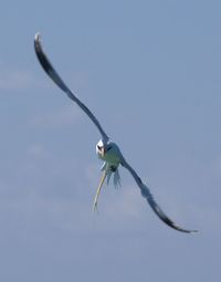 Low angle view of sky