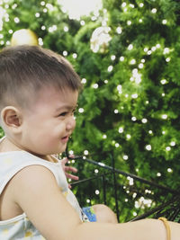 Portrait of cute boy sitting on tree