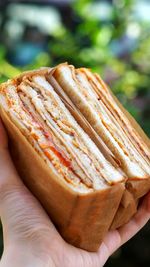 Close-up of hand holding apple