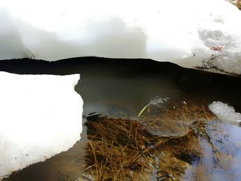 Close-up of lake against sky