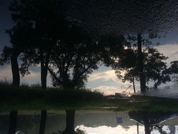 Reflection of trees in water