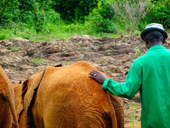 Rear view of man standing with baby elephant by plants