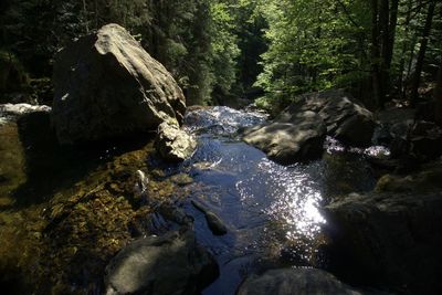 Stream flowing through rocks in forest