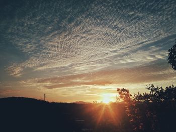 Silhouette trees against sky during sunset