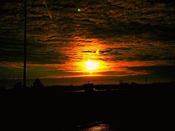 Silhouette of trees at sunset