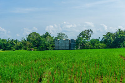 View of agricultural land use and modern buildings