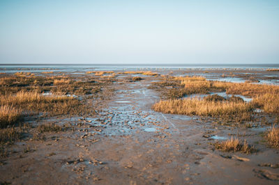 Scenic view of sea against clear sky