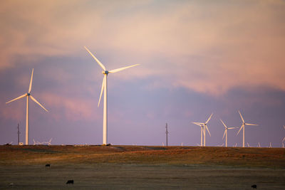 Wind turbines in field against cloudy blue sky at sunset