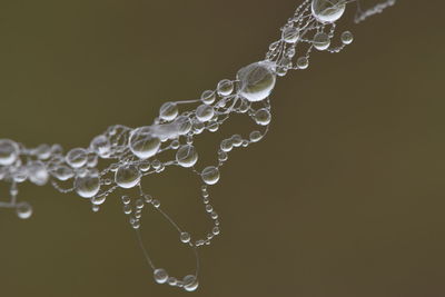 Close-up of water drops on glass against black background