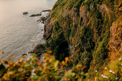 High angle view of rocks on beach