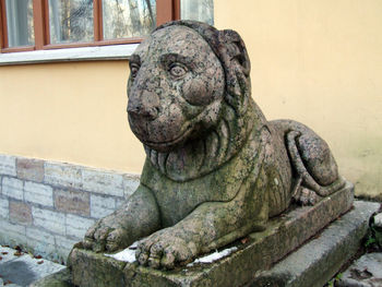 Close-up of statue against wall