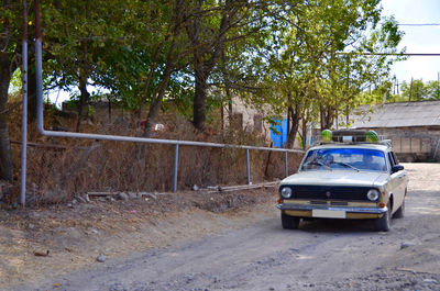 Car parked against trees