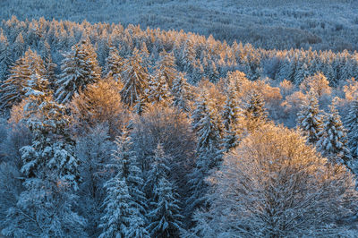 Full frame shot of snow covered landscape