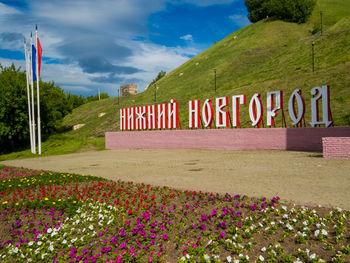 Scenic view of flowering plants against cloudy sky