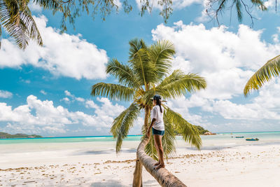 Palm trees on beach against sky