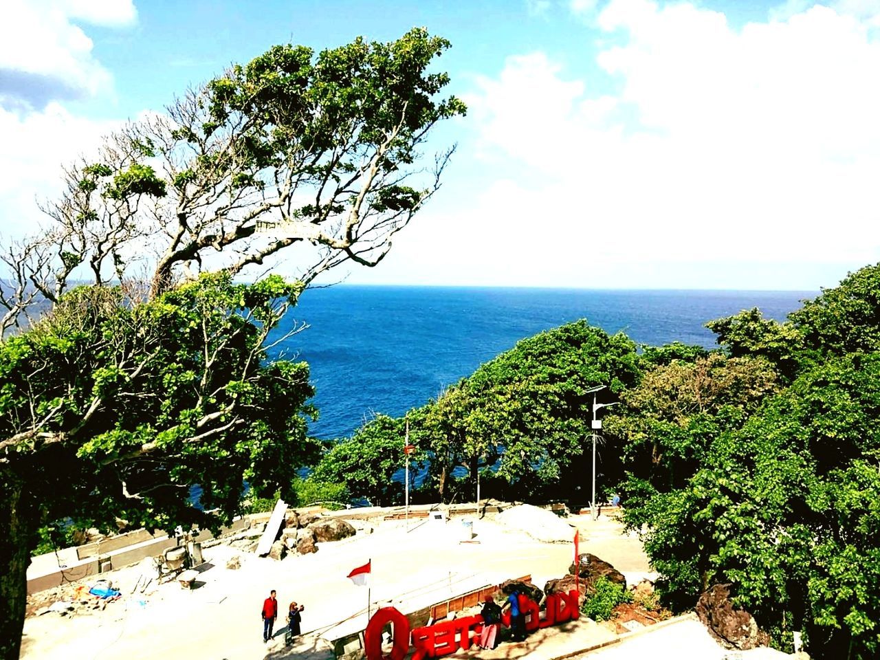 sea, tree, water, sky, horizon over water, beauty in nature, nature, horizon, plant, beach, growth, day, scenics - nature, land, tranquil scene, cloud - sky, tranquility, holiday, outdoors