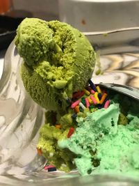 Close-up of ice cream in plate