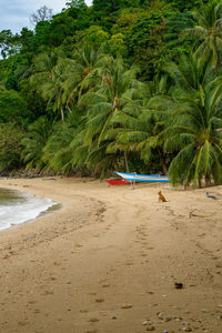 This photo captures the essence of the philippines, with a traditional wooden boat bobbing.