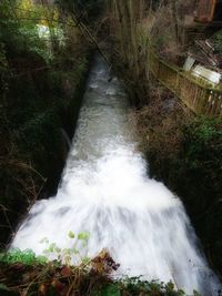 High angle view of waterfall in forest