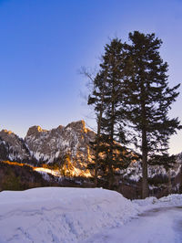 Trees on snow covered landscape against sky