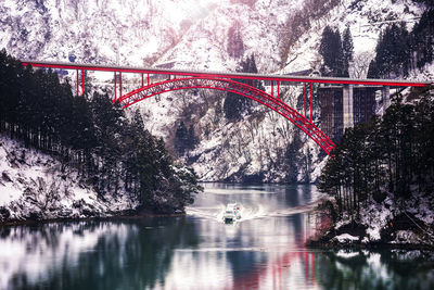 Bridge over river against trees