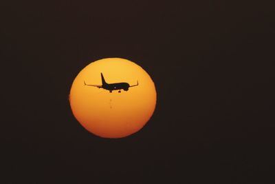 Silhouette bird flying against sky at night