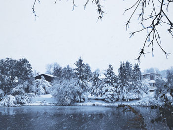 Frozen lake by trees against sky