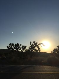 Silhouette trees against clear sky during sunset